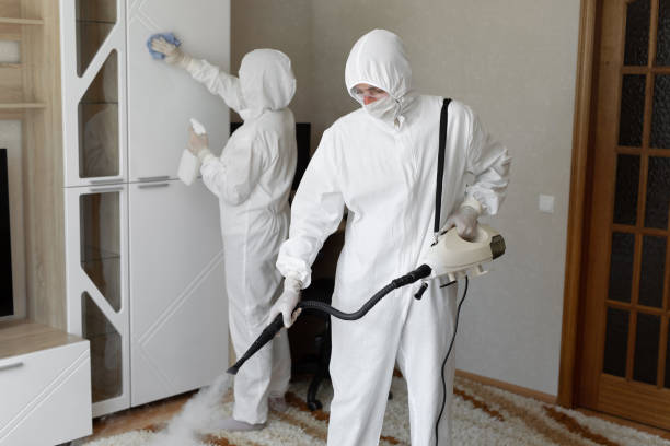 24/7 Emergency Odor Removal experts in New River, AZ